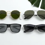 Four pairs of sunglasses on a white surface: round gold frames with green lenses, black aviators, rectangular frames, and classic wayfarers, alongside a green leaf.