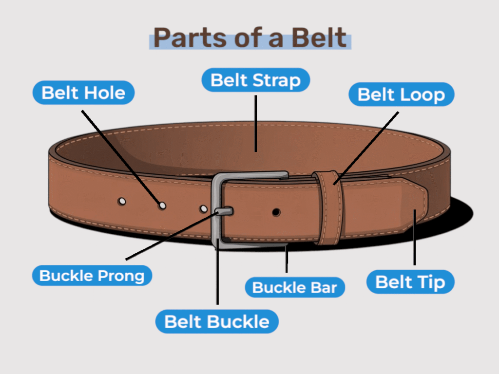 Illustration of a brown belt labeled with its parts: Belt Strap, Belt Hole, Belt Loop, Belt Tip, Belt Buckle, Buckle Prong, and Buckle Bar.